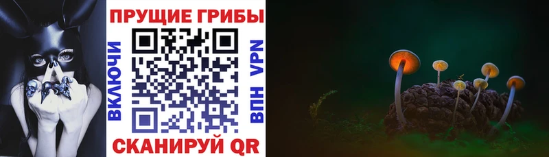 Псилоцибиновые грибы мухоморы  МЕГА как войти  Прохладный 